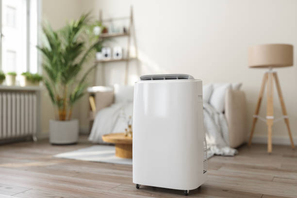 Best Air Filters and Purifiers in Greenville, DE